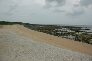 菓葉海岸的白色沙灘