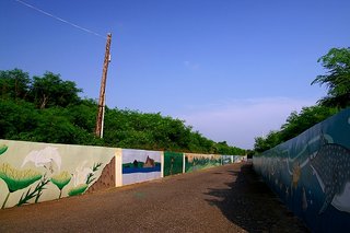 進入許家村社區的馬路，路旁的矮牆上漆滿了各式澎湖風景點的壁畫