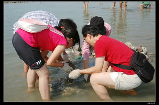 成發東海一日遊踏浪