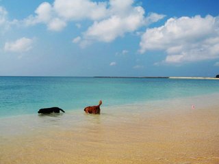 資料來源:Dory的澎湖灣