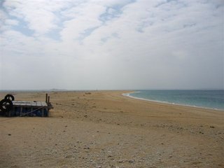 吉貝