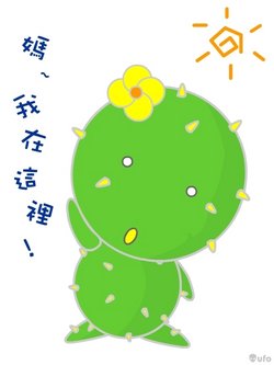 2008我將和你在馬公街頭見面囉