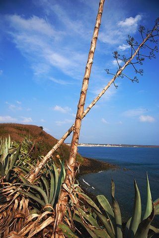 眺望風櫃半島