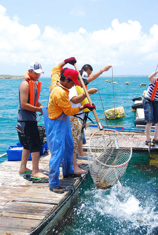 陳老闆先撈條海儷魚準備中午大快朵頤