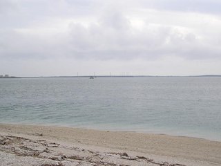 青螺沙灘中段的位置，這區域主要是珊瑚碎屑組成，砂質比較粗