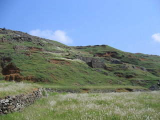 東嶼坪