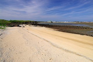 退潮時鎮海海邊仍會裸露大片潮間帶，可以撿螺或抓螃蟹