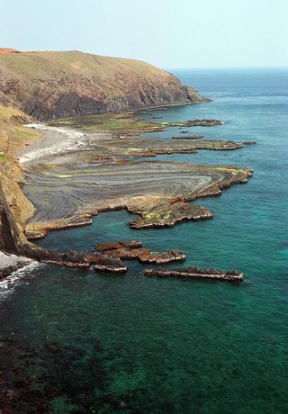 這龍埕地形可以說是七美沿岸地形中最難以揣摩的一個景點，七美其他岩岸地形如石獅，臥牛，小台灣等等都比這龍埕來得容易想像跟揣摩