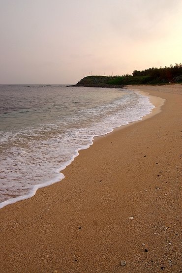 後灣沙灘的沙子主要是由珊瑚碎屑跟未完全崩解的貝殼組成，是一處可以撿貝殼的海灘