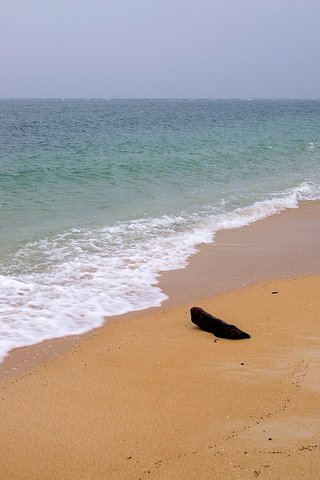 後灣沙灘的沙子主要是由珊瑚碎屑跟未完全崩解的貝殼組成，是一處可以撿貝殼的海灘