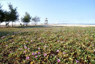 版權所有：澎管處