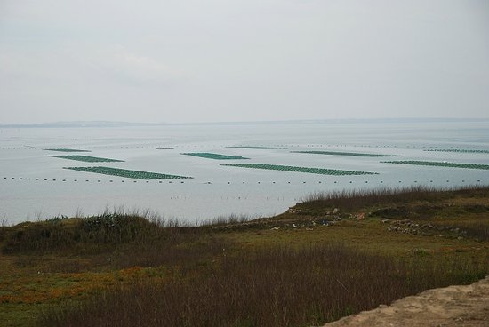 高丘上眺望竹灣海上箱網養殖區