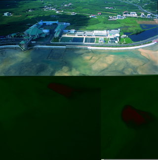 45.水族館。版權所有：澎湖國家風景區管理處