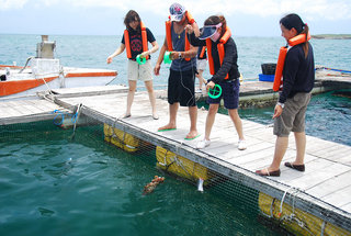 釣花枝