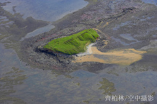 小龍。版權所有：齊柏林