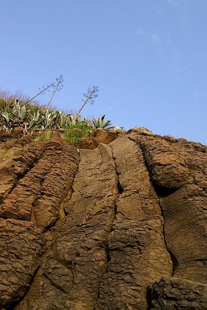 網垵沙灘附近剛好是西嶼西岸玄武岩地形的起點，從這裡開始往南一直到池西岩瀑，都可以看到豐富的柱狀玄武岩節理