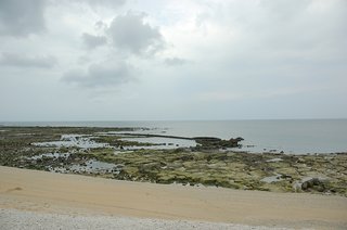 退潮後的菓葉海岸裸露出大片的潮間帶，想當然爾這片潮間帶也就會成為當地居民海上經濟活動的空間