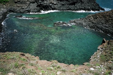 這就是大野郎說的小水族館，清澈的海水和豐富的海生物生態