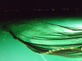 成發夜釣人工拉網的特色