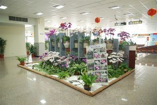 台南機場候機室前擺設，會依照行政機關舉辦的相關活動做裝飾