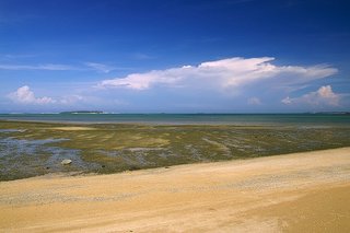 鎮海海灘遠眺的島嶼應該是員貝島