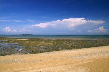 鎮海海灘遠眺的島嶼應該是員貝島