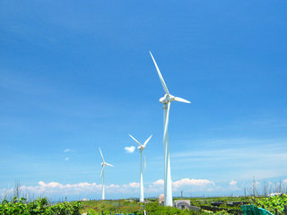 雪白的中屯風車搭配蔚藍的天空，頗有幾分的異國情調