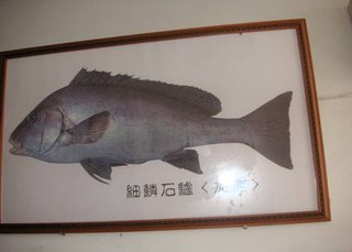加志魚