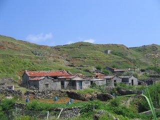 東嶼坪