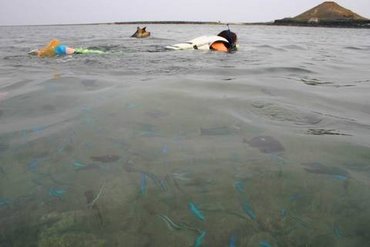 銀海快艇