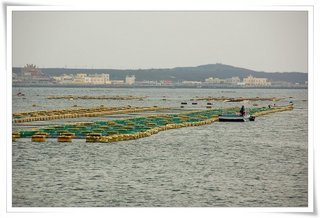 這裡是店家所承租的海域養殖區