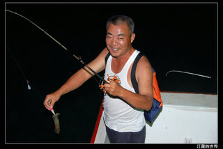 新來發夜釣小管-小管釣上來啦！