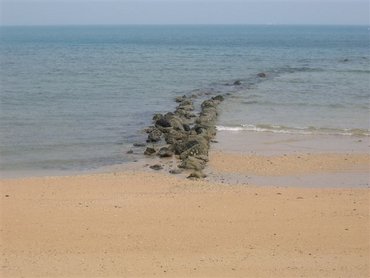 赤馬海邊