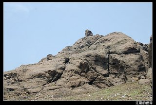 西嶼坪嶼