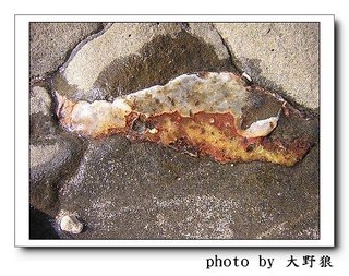 隨處可見的文石痕跡
