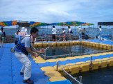 菜園海上牧場東安為澎湖第一家海上牧場始祖