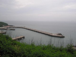山頭上俯瞰山腳下的漁港