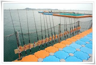 釣竿上都已經綁好餌直接拿取就可以開始釣囉!