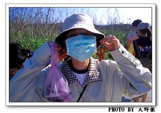 意外的野餐來源