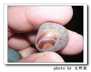 風化的同心圓文石眼