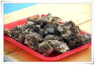 店家自己養殖的黑殼牡蠣