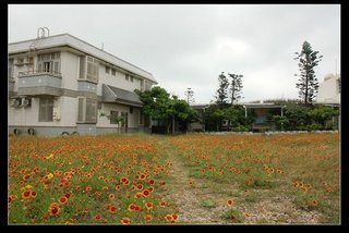 棄校後的大倉國小