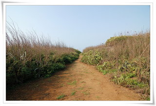 蛇頭山荷蘭城遺址