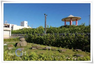 戶外庭園造景皆為主人精心設計
