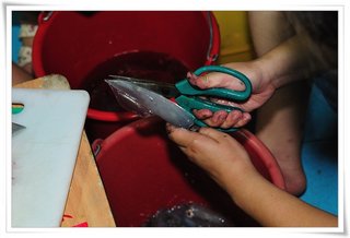 一部分現作小管生魚片，新鮮滿分阿!
