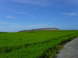 這個景象一到冬季會整個改變，變成枯黃一片