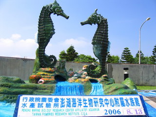 海馬，之前水試所還在經營水族館時，曾以復育海馬為重點，現在水試所退出水族館經營後，已經將復育海馬場地搬到青灣