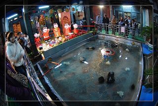 2007年澎湖元宵節活動影展-dodoho-馬公