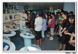 初步了解海洋與其孕育的生態