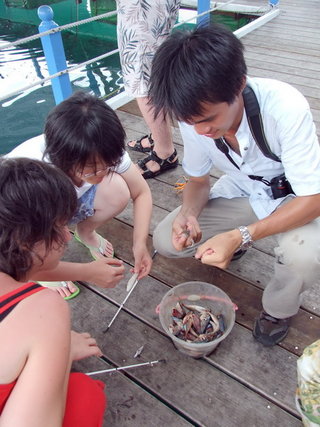 成發東海一日遊海上平台